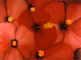 Hibiscus - Click Image to Close